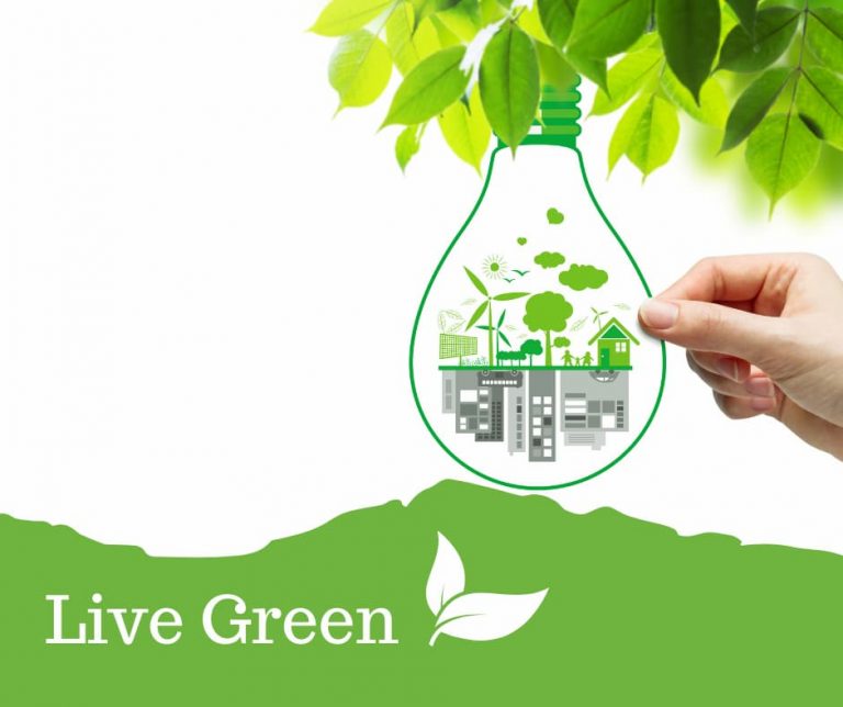 live green essay