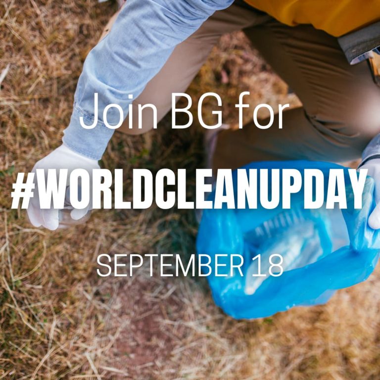 World Clean Up Day BurlingtonGreen